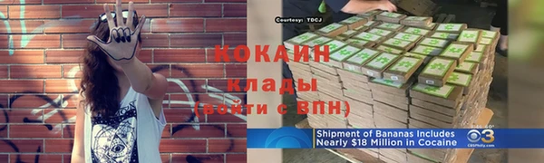крисы Вязьма