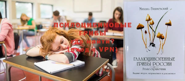 таблы Тавда