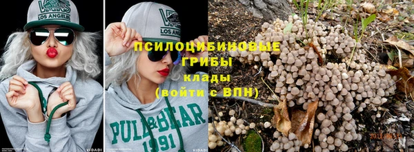 дживик Горняк