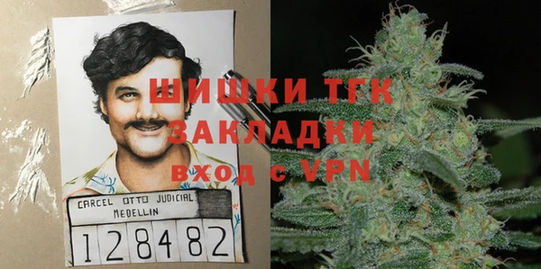 крисы Вязьма