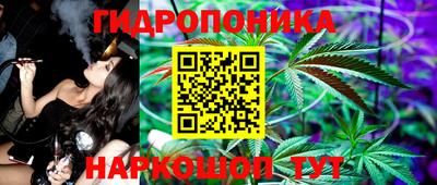 эйфоретик Бийск