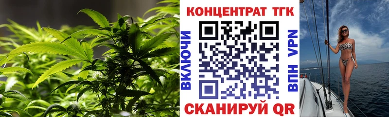 ТГК Wax  Выборг 