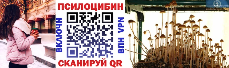 сколько стоит  Выборг  Галлюциногенные грибы Magic Shrooms 