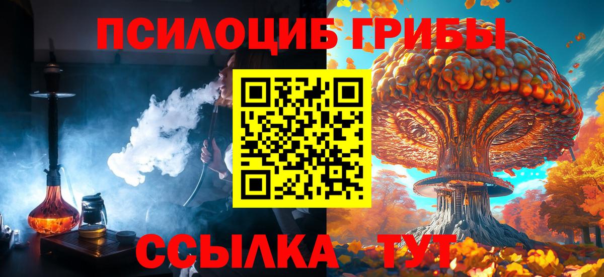 Галлюциногенные грибы Magic Shrooms Выборг