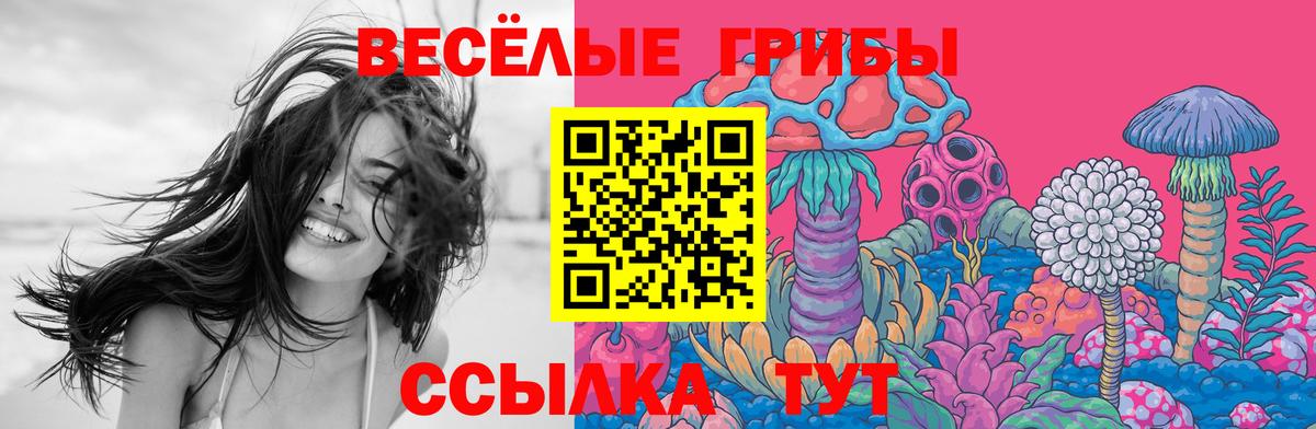 Галлюциногенные грибы ЛСД  Выборг 