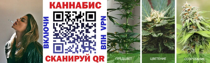 Канабис конопля Выборг